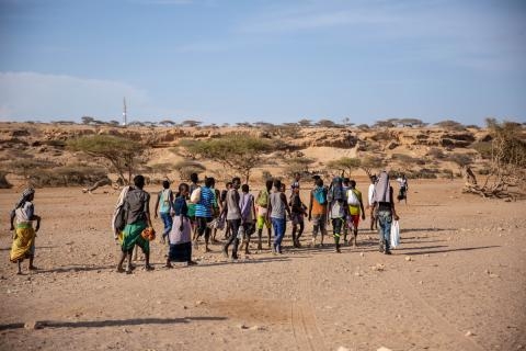 $45 million needed to support migrants in the Horn of Africa